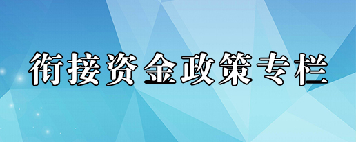 衔接资金政策专栏