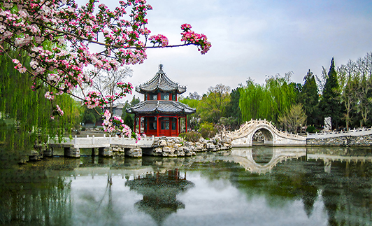 古莲花池