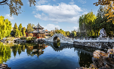 魅力莲池