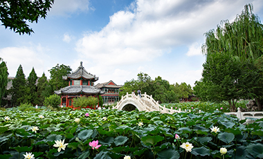 魅力莲池